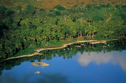 Bay;-Coconut-grove;-Coconut-palms;-Comoros-Archipelago;-Forest;-France;-High-angle-view;-Indian-Ocean;-Kaleidos;-Kaleidos-images;-La-parole-à-limage;-Laurent-Abad;-Mayotte;-Small-boats;-Stories-Pictures